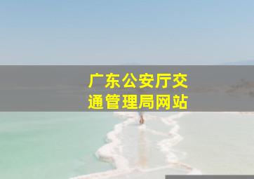 广东公安厅交通管理局网站