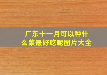 广东十一月可以种什么菜最好吃呢图片大全