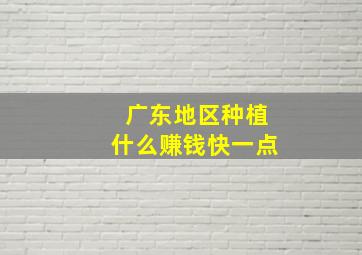 广东地区种植什么赚钱快一点