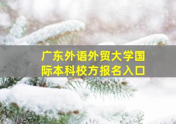 广东外语外贸大学国际本科校方报名入口