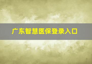 广东智慧医保登录入口