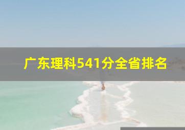 广东理科541分全省排名