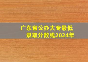 广东省公办大专最低录取分数线2024年