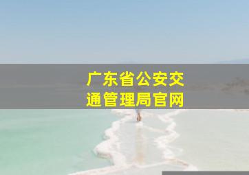 广东省公安交通管理局官网