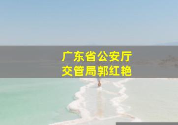 广东省公安厅交管局郭红艳