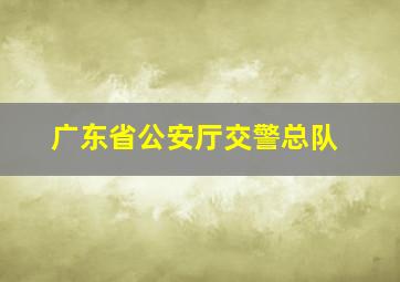 广东省公安厅交警总队