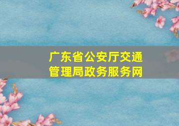 广东省公安厅交通管理局政务服务网