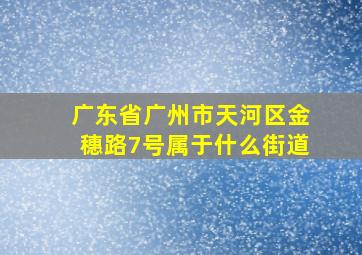 广东省广州市天河区金穗路7号属于什么街道