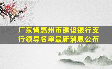 广东省惠州市建设银行支行领导名单最新消息公布