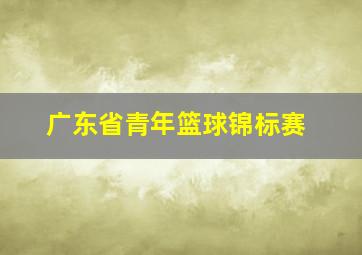 广东省青年篮球锦标赛