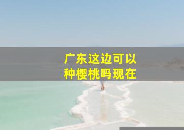 广东这边可以种樱桃吗现在