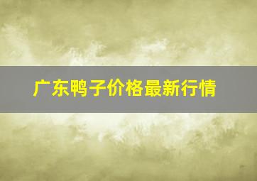 广东鸭子价格最新行情