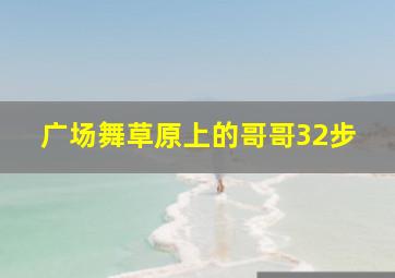 广场舞草原上的哥哥32步