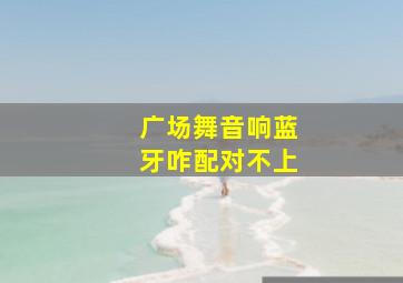 广场舞音响蓝牙咋配对不上