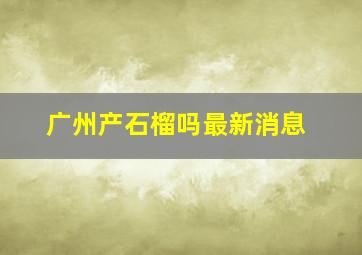 广州产石榴吗最新消息