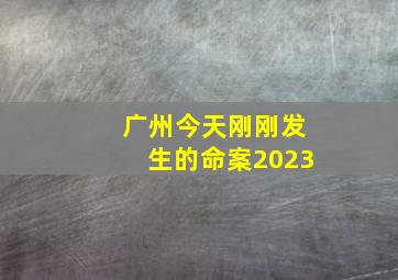 广州今天刚刚发生的命案2023