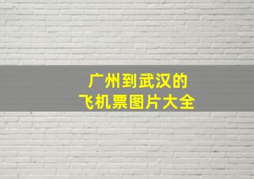 广州到武汉的飞机票图片大全