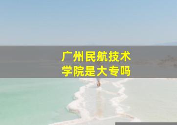 广州民航技术学院是大专吗