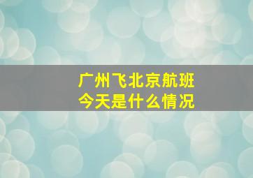 广州飞北京航班今天是什么情况