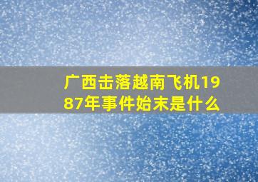 广西击落越南飞机1987年事件始末是什么