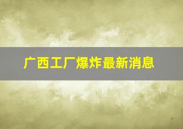 广西工厂爆炸最新消息