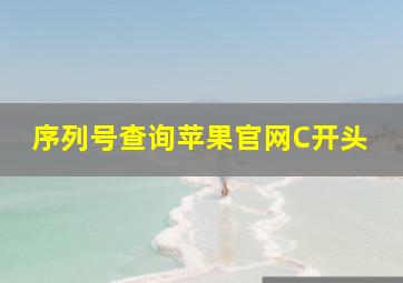 序列号查询苹果官网C开头