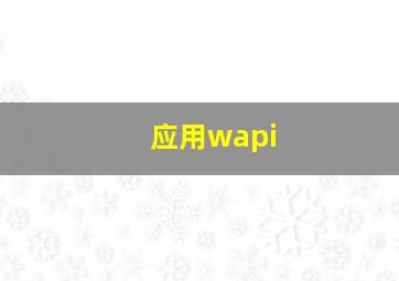 应用wapi