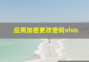 应用加密更改密码vivo