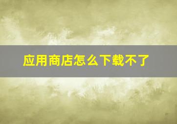 应用商店怎么下载不了