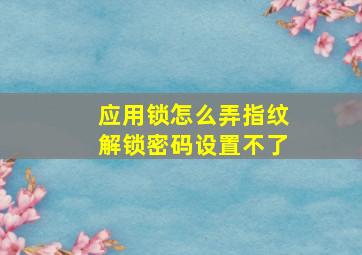 应用锁怎么弄指纹解锁密码设置不了