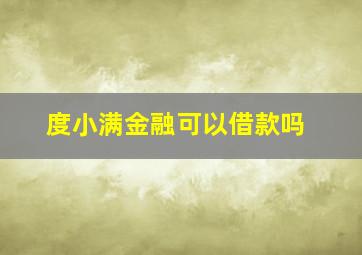 度小满金融可以借款吗