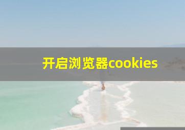 开启浏览器cookies