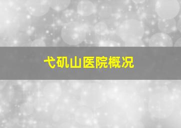 弋矶山医院概况