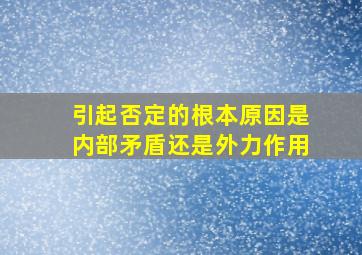 引起否定的根本原因是内部矛盾还是外力作用