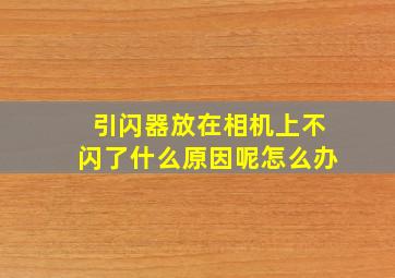 引闪器放在相机上不闪了什么原因呢怎么办