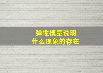 弹性模量说明什么现象的存在