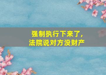 强制执行下来了,法院说对方没财产