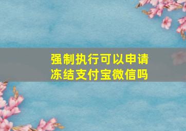 强制执行可以申请冻结支付宝微信吗