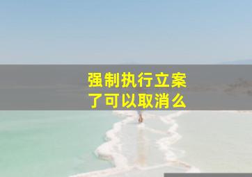 强制执行立案了可以取消么