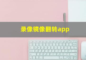 录像镜像翻转app