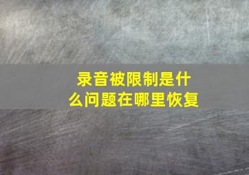 录音被限制是什么问题在哪里恢复