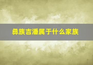 彝族吉潘属于什么家族