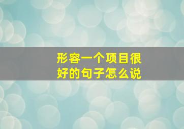 形容一个项目很好的句子怎么说