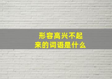 形容高兴不起来的词语是什么