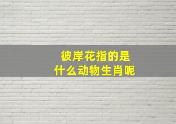 彼岸花指的是什么动物生肖呢