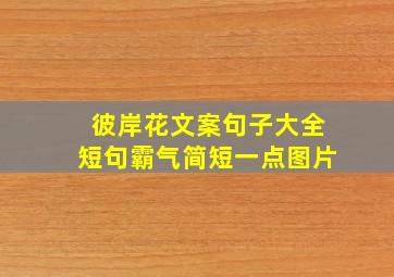 彼岸花文案句子大全短句霸气简短一点图片