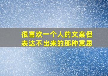 很喜欢一个人的文案但表达不出来的那种意思