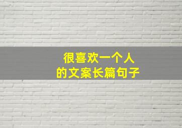 很喜欢一个人的文案长篇句子