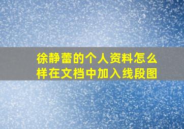 徐静蕾的个人资料怎么样在文档中加入线段图