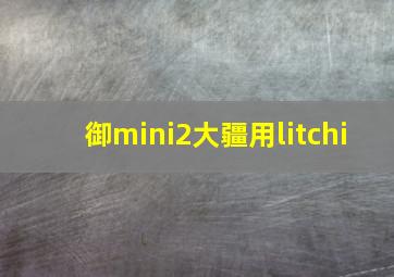 御mini2大疆用litchi